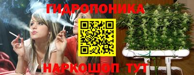 мдпв Севастополь